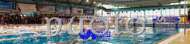 Nuoto_2016_11_27_Brescia_dm_012.jpg