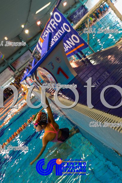 Nuoto_2016_11_27_Brescia_dm_126.jpg