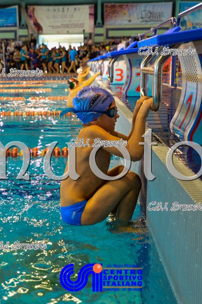 Nuoto_2016_11_27_Brescia_dm_131.jpg