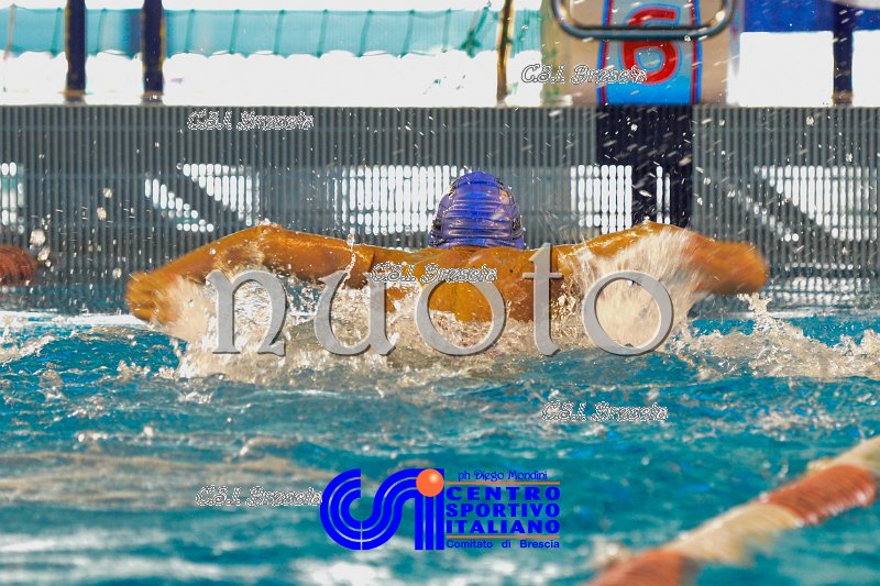 Nuoto_2016_11_27_Brescia_dm_259.jpg