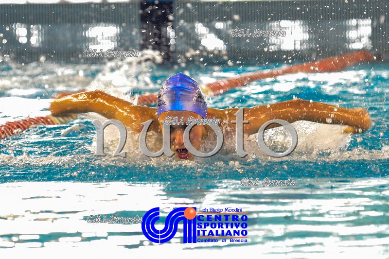 Nuoto_2016_11_27_Brescia_dm_262.jpg