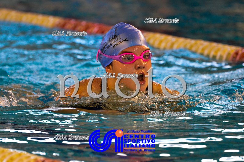 Nuoto_2016_11_27_Brescia_dm_371.jpg