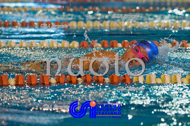 Nuoto_2016_11_27_Brescia_dm_623.jpg
